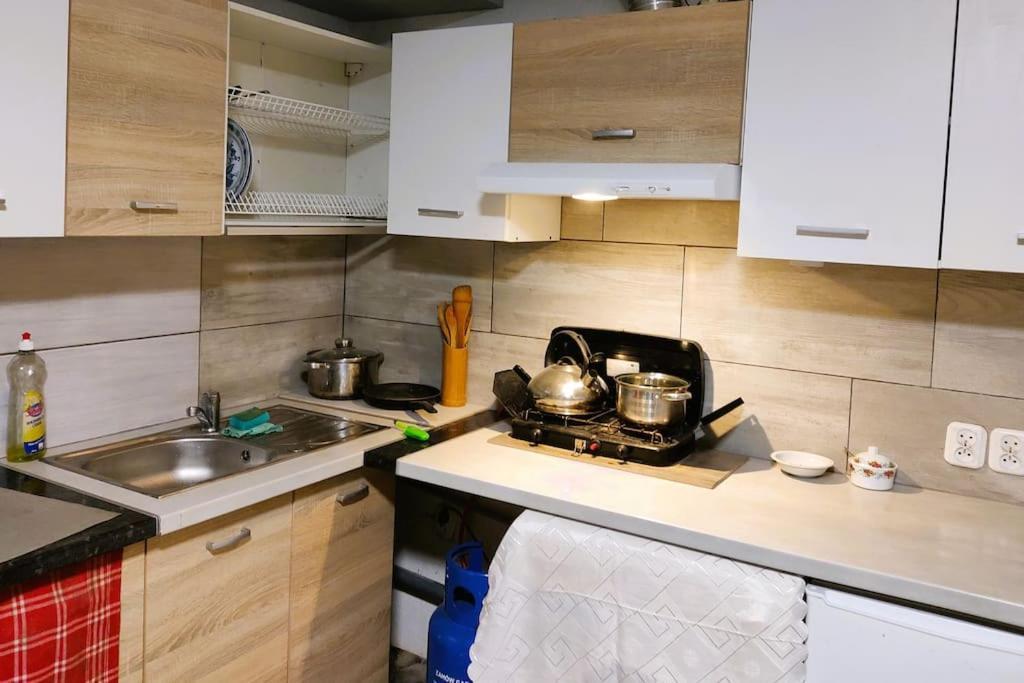 Forrest House W Bialej Apartment Sulejow